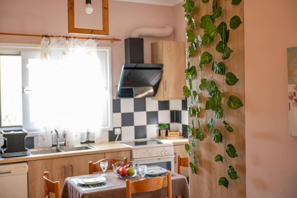 Appartement Dream House à Prévéza Extérieur photo
